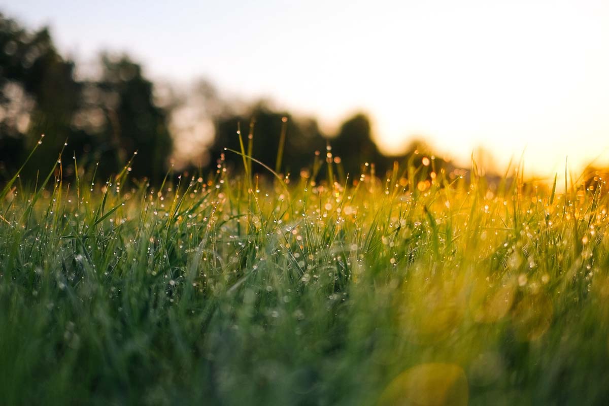 Start each day with gratitude